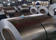 Chronic Acid Treated Zinc Coated Steel With Corrosion Resistance 1219mm Width