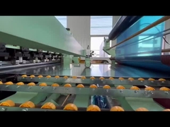 Color Coated Aluminum Coil 