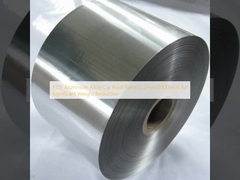 3105 Aluminum Alloy Car Roof Panel (1.2mm/2000mm) for Significant Weight Reduction