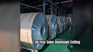 3003 Aluminum Ceiling Sheet 30 Yr Color