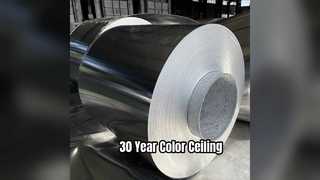 Durable Aluminum Ceiling Sheets 30 Year Color