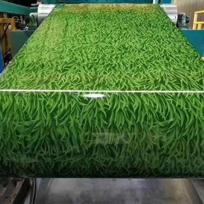 Pattern Designed Color Coating Aluminum Alloy Coil Material For Wall Fence