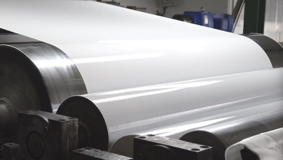 White / Black Ral 9010 Color Coated Aluminum Sheet In Coil 3003 H14 For Production Gutters Or Downspout Making