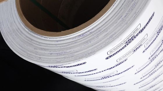 Aluminum Alloy 3003 H14 White Both Sides Colord Aluminum Coil Pre-coated Aluminum Strip Coil 300mm Width 1.00mm Thickness For Channel Letter Sign